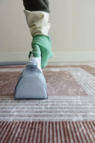 Professional rug and upholstery cleaning in Long Beach, CA